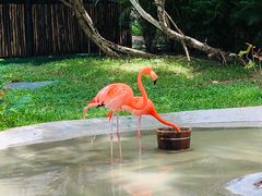 -三亚蜈支洲岛旅游区