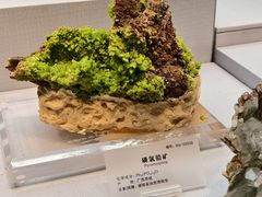 -湖南省地质博物馆