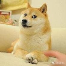 -家乐福(古北店)