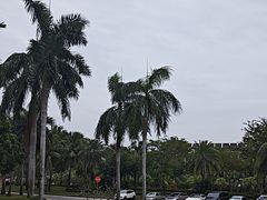 -亚龙湾老厨房·海南家常味