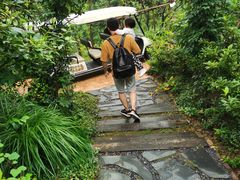 -杭州开元森泊度假乐园