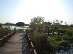 -梁鸿国家湿地公园