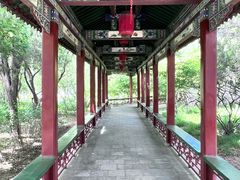 -迎泽公园