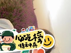 -空港花田景区
