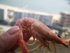 -霞涌市场海鲜摆卖区