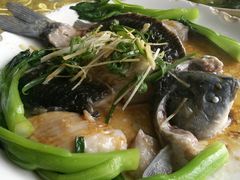 -勒南公舍(龙江店)