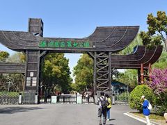 -溱湖国家湿地公园