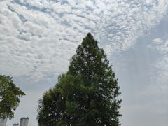 -桃花岛公园