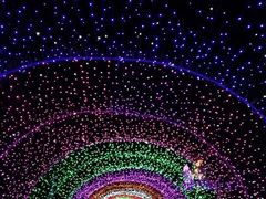 -巨鹏飞梦幻海岸