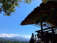 -黄色小屋