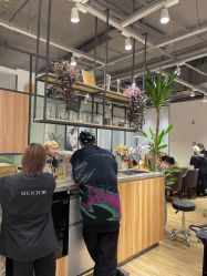 -Mentor Hair Salon