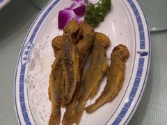 -老雒阳面馆·水席(洛宁高速路口店)