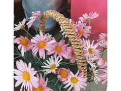 -中环花鸟鱼虫市场