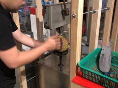 -都念榴莲·城市榴莲