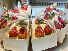 -evoojoo面包商店