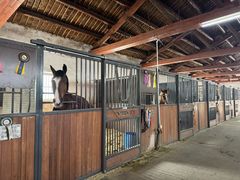 -北京群众马术培训基地