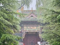 -迎泽公园