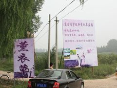 -北京东方普罗旺斯薰衣草庄园