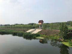 -东郊湿地公园