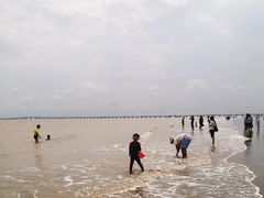 -南汇嘴观海公园