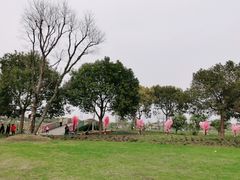 -上海杨姆庄园