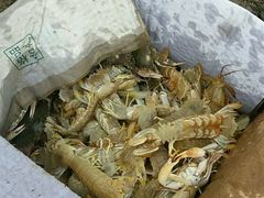 -盛泰恐龙谷温泉