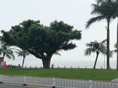 -情侣路