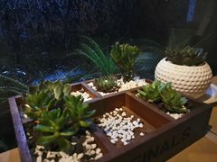 -彼芝奇比萨(红坊店)