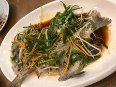 清蒸太阳鱼-大唐靓汤江门私房菜(景田店)