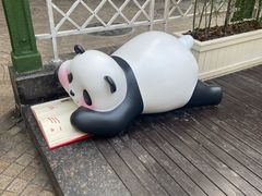 -轩客会(熊猫书店)