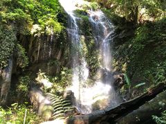 -莫里热带雨林景区