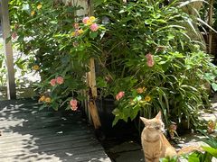 -默迹咖啡馆