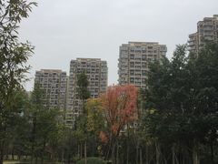 -成都保利公园皇冠假日酒店(熊猫基地店)