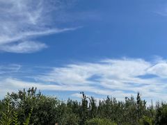 -白水寺森林公园