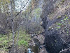 -峡谷浮石林景区