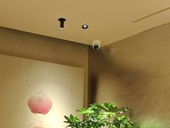 -桂满陇·手作小笼包&江南叫花鸡(中山公园店)