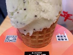 -野人先生现做冰淇淋(北京环宇荟店)