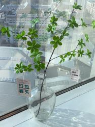 点击看大图 -久匠·半永久专业纹眉