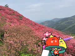 -木兰云雾山