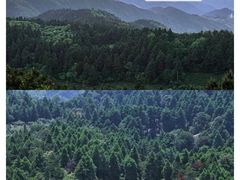 -天台山景区