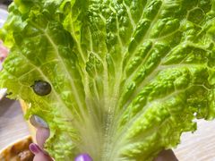 -平山城鑫烧烤(建国楼店)