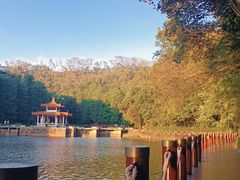 -深圳仙湖植物园