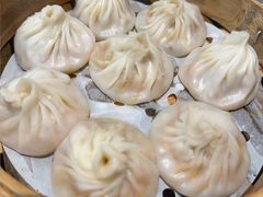 -莱莱小笼·乔艾