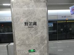 -野芷湖(地铁站)