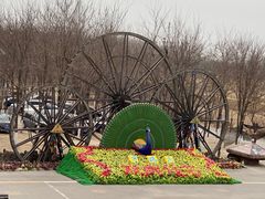 -呀路古热带植物园