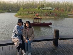 -合肥滨湖国家森林公园