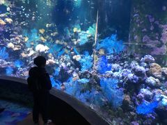 -北海·海洋之窗