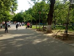 -长白岛森林公园