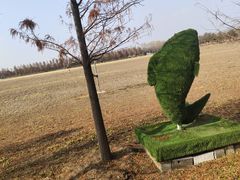 -兰陵国家农业公园