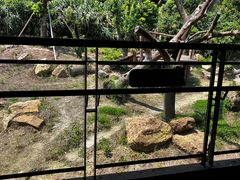 -宁波野生动物园
